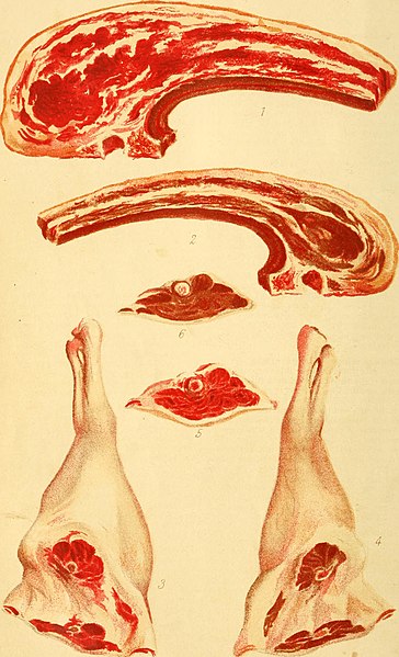 Bacon a sertés bontásnál